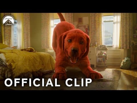 What Happened to Our Dog?!
