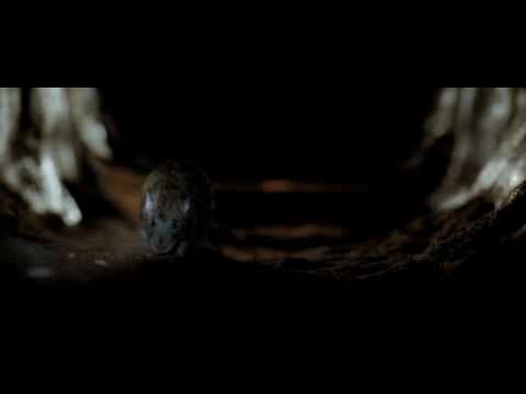 Exclusive Clip