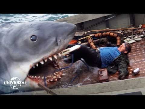 The Final Shark Attack