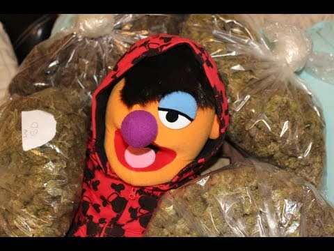 PATIENCE episode 3 "The love episode"