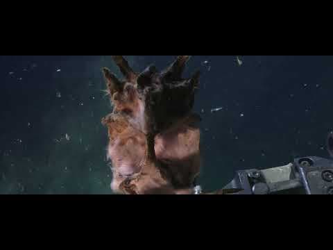 Trailer | Aphotic Zone | Emilija Škarnulytė