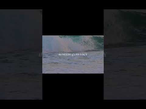 The Seeds of a Eulogy - 'Now in Production' Trailer #shortfilm