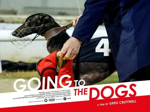 GOING TO THE DOGS | UK theatrical trailer | In cinemas Friday 7th November 2025