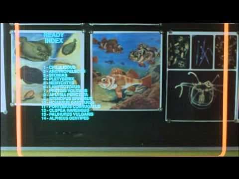 Cre@tur3s Fr0m th3 Aby55 @K@ pL@nkt0n