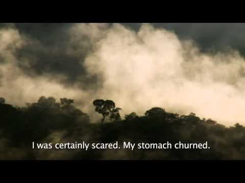 The Tiniest Place / Trailer